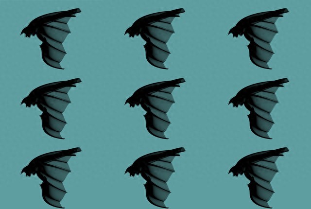 印度西孟加拉邦尼帕病毒疫情溯源，蝙蝠成传播关键线索