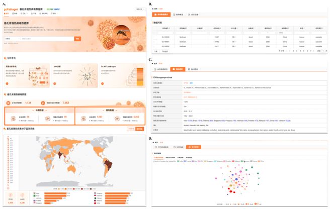 强化病毒疫情溯源与识别鉴定，CHIKVdb搭建一站式分析平台