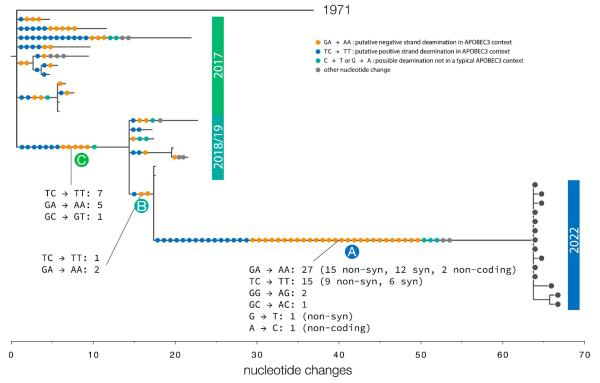 猴痘病例全球激增，症状轻微或致疫情被低估