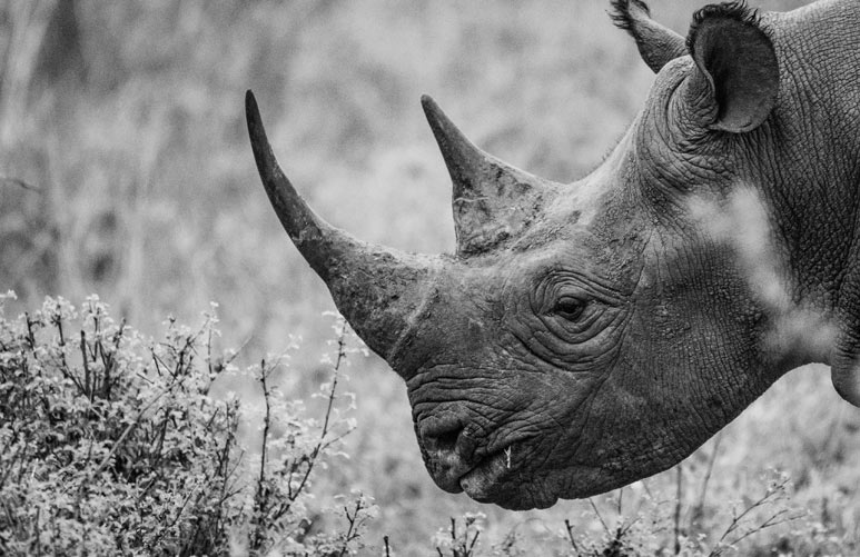 疫情期间热点新闻汇总:蚊子会传新冠吗?全球确诊超千万