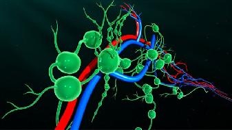 5月20日31省份新增2例本土无症状感染者,疫情最新情况汇总