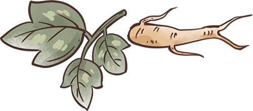 冬春流感高发!重点人群需接种流感疫苗,附接种时间及原因