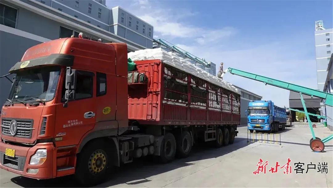 甘肃民企积极行动，做好疫情防控物资保供及生活物资供应