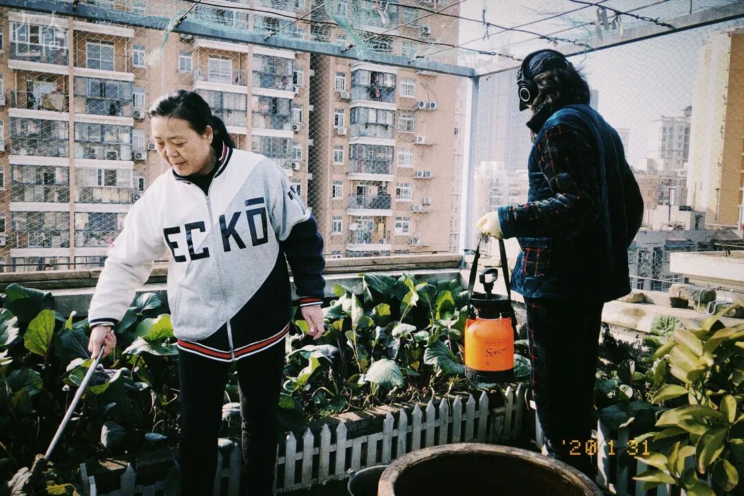 疫情封城下的守护故事:普通人如何温暖彼此