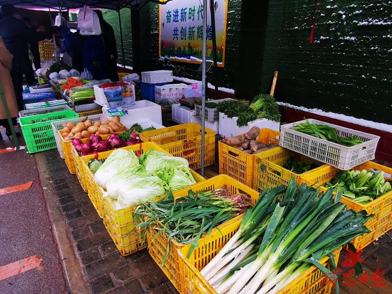 疫情下咸阳统筹防控与保障,维持城市正常运转