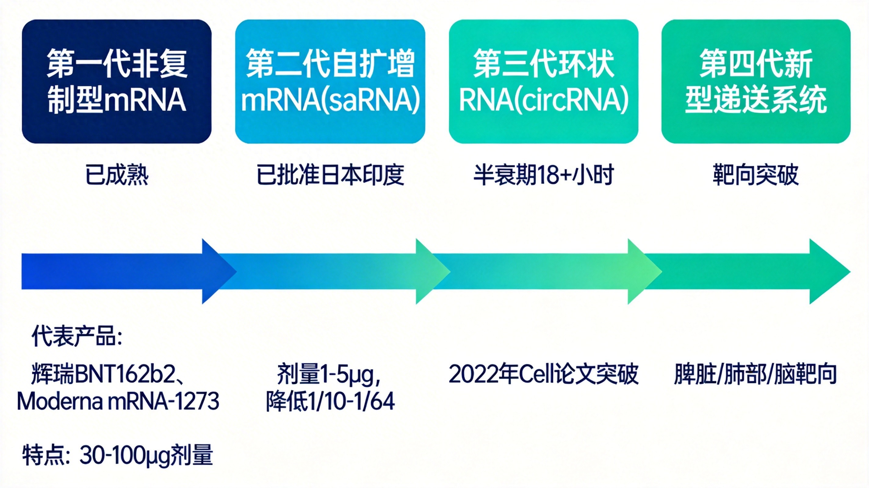 疫情疫苗的更新换代：从传统mRNA到环状RNA的变革之路