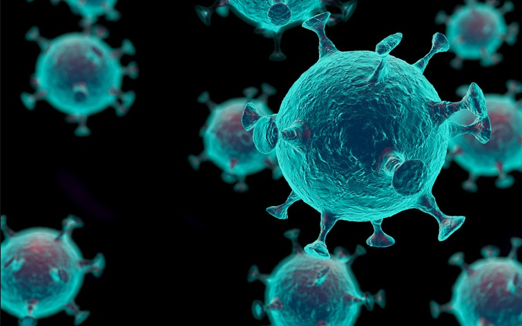 新冠病毒感染的传播途径、症状及预防措施全知道