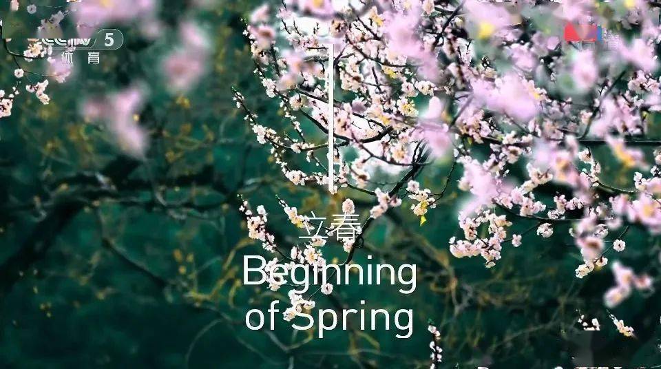 立春与冬奥开幕式同至,回顾中国举办冬奥会的历程与荣耀