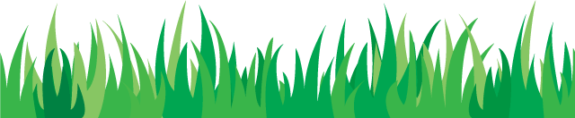 绿色出行全知道:方式、意义及科学常识,助力道路畅通环保