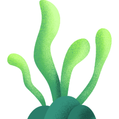 绿色出行全知道:方式、意义及科学常识,助力道路畅通环保