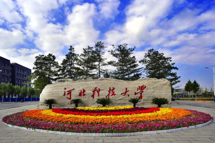 2019高考志愿填报在即!这些高校招生政策考生必看